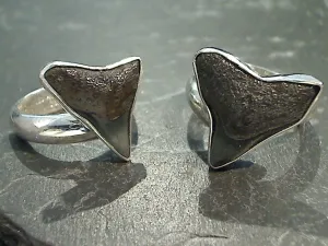 Adjustable Size Fossil Shark Tooth, Fine Sterling Silver Ring