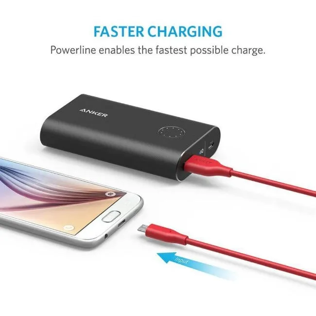 Anker PowerLine 3ft Micro USB Cable