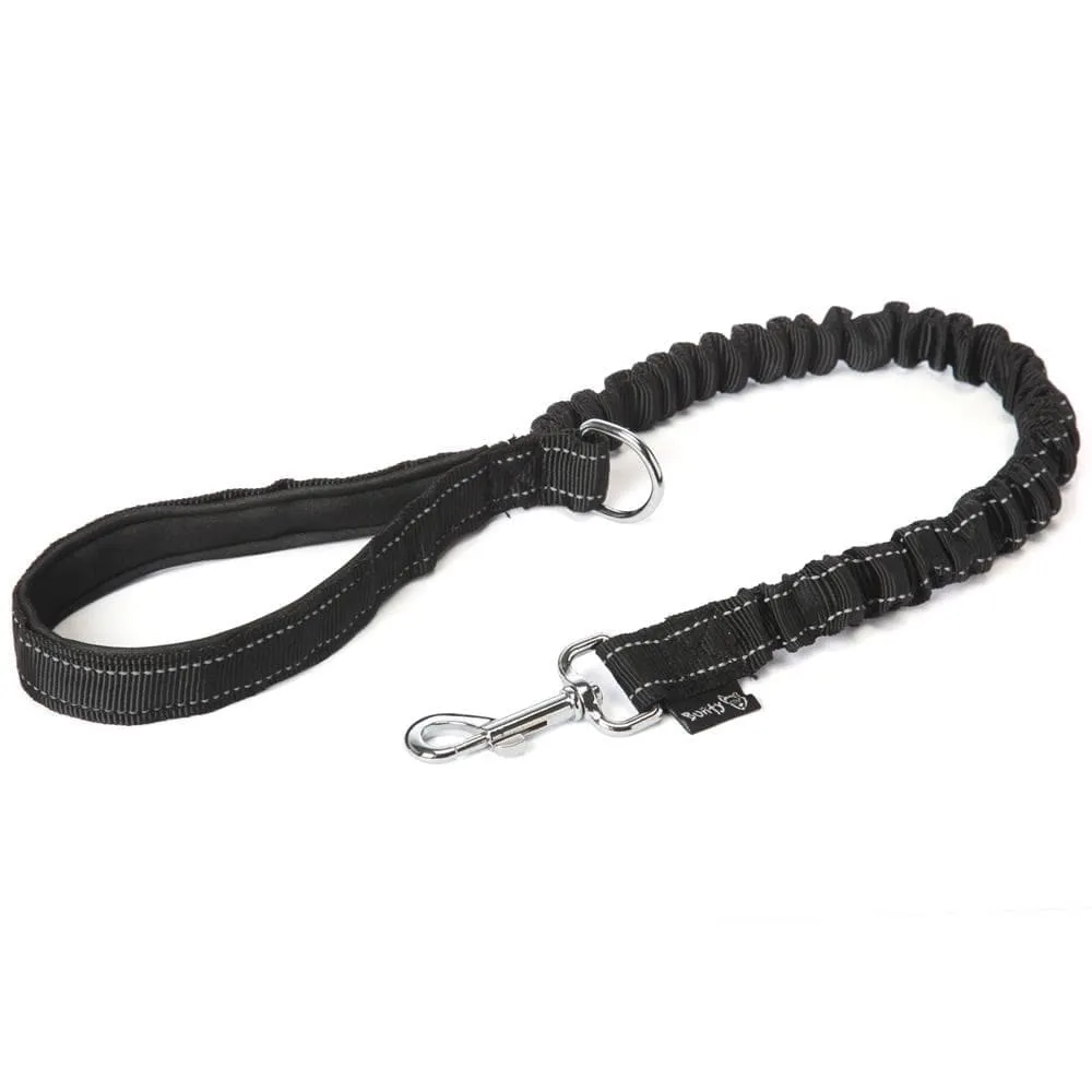 Anti-Shock Dog Lead