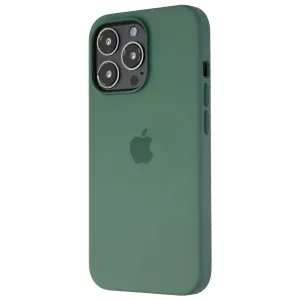 Apple Silicone Case with For Magsafe for iPhone 13 Pro - Eucalyptus (MN673ZM/A)