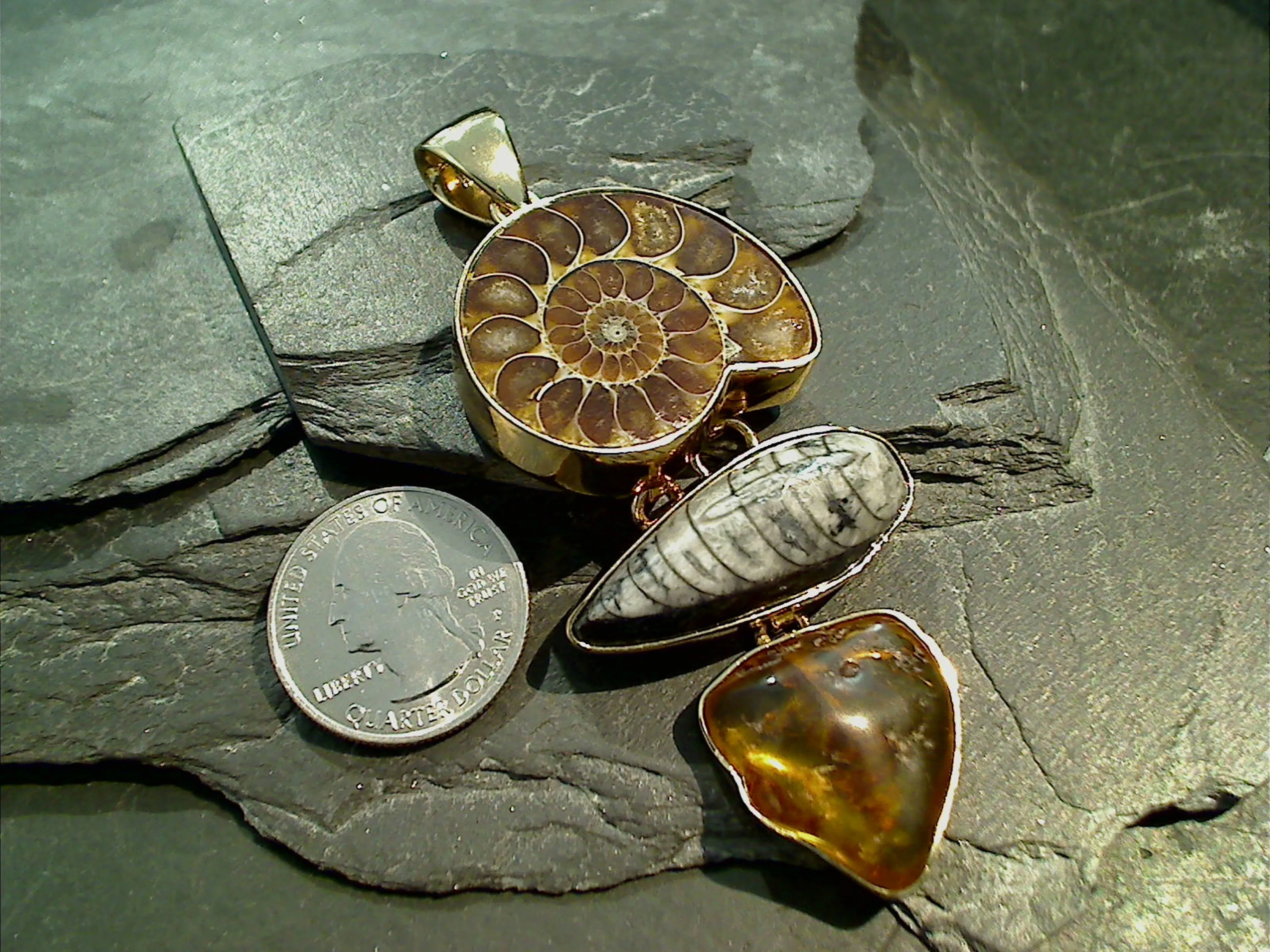 Fossil Ammonite, Orthoceras, Amber, Alchemia Extra Large Pendant