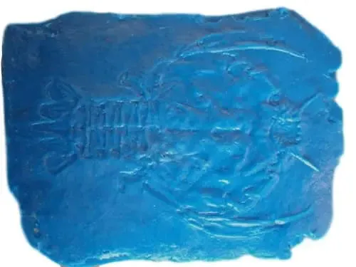 Fossil Print Rubber Mold Stamp for Concrete or Drywall Plaster