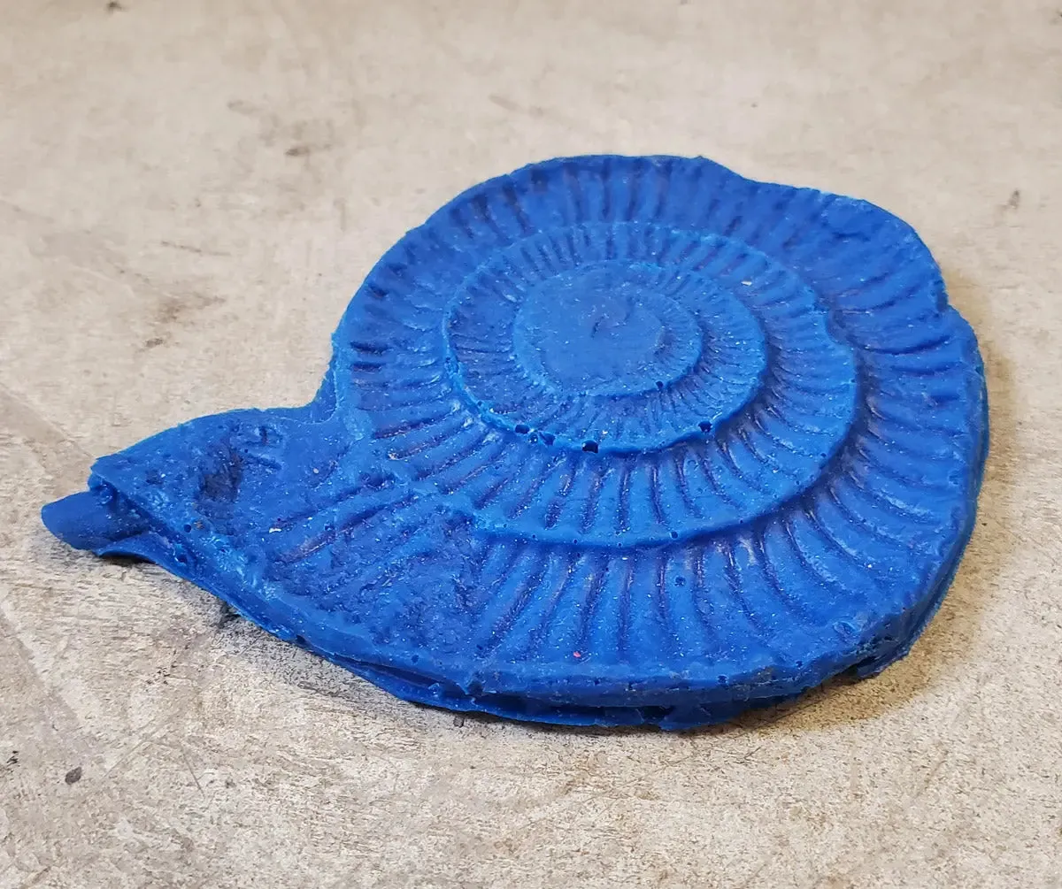 Fossil Print Rubber Mold Stamp for Concrete or Drywall Plaster