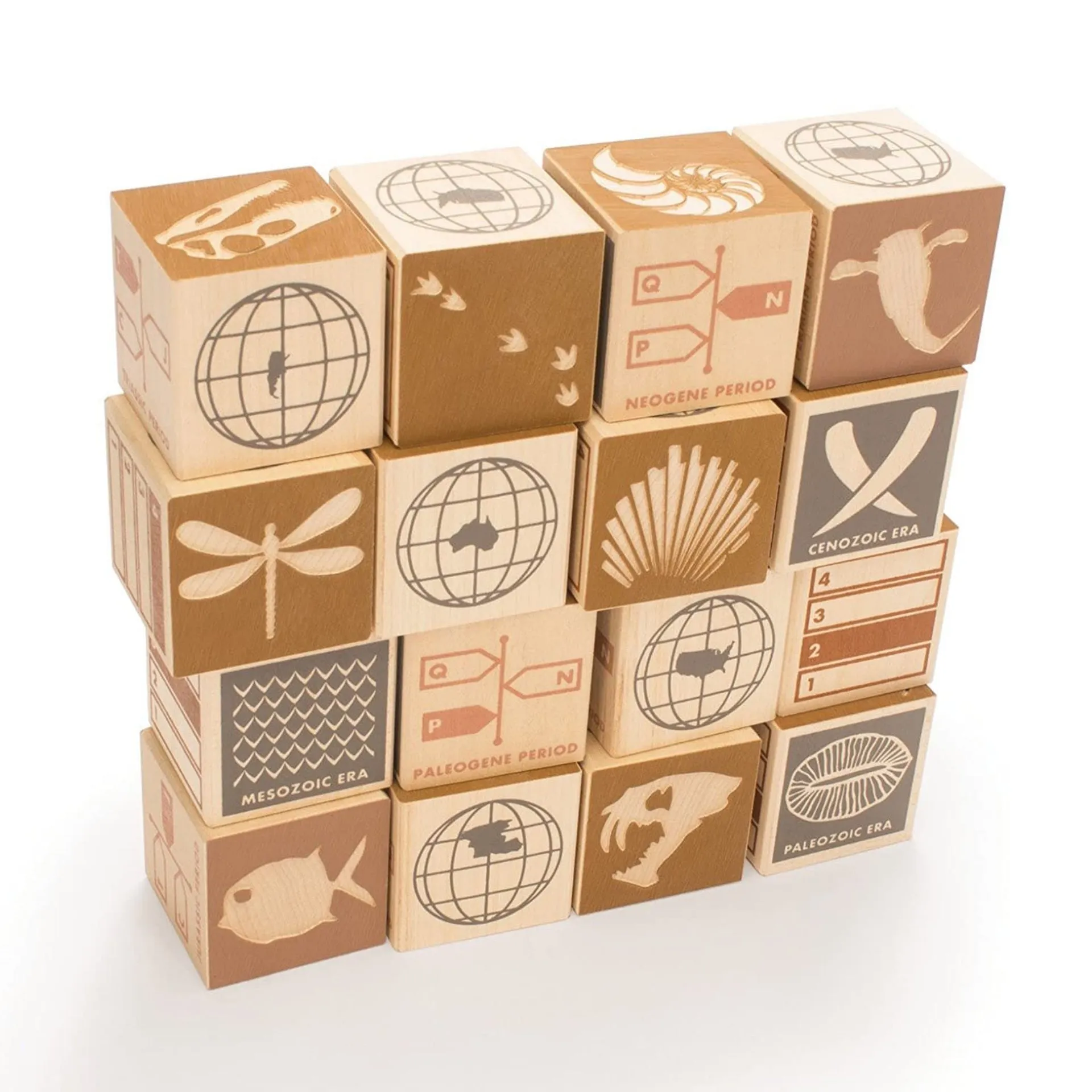 Fossil Wooden Blocks