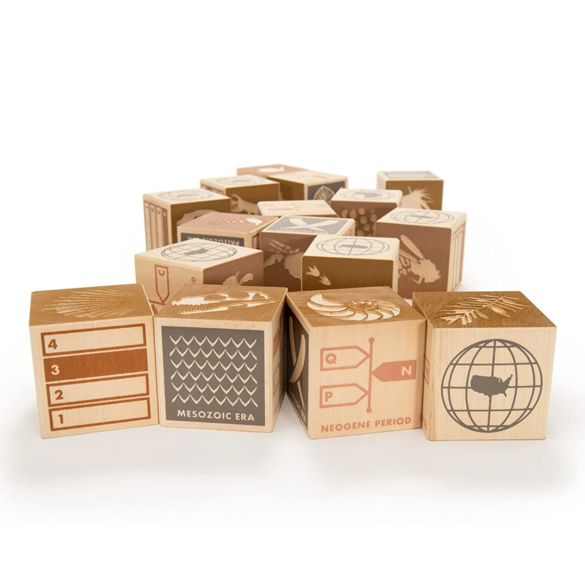 Fossil Wooden Blocks