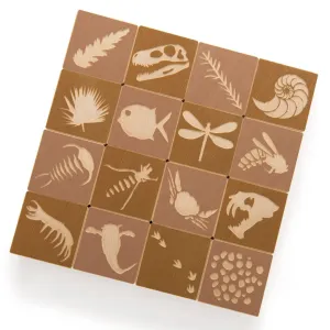 Fossil Wooden Blocks