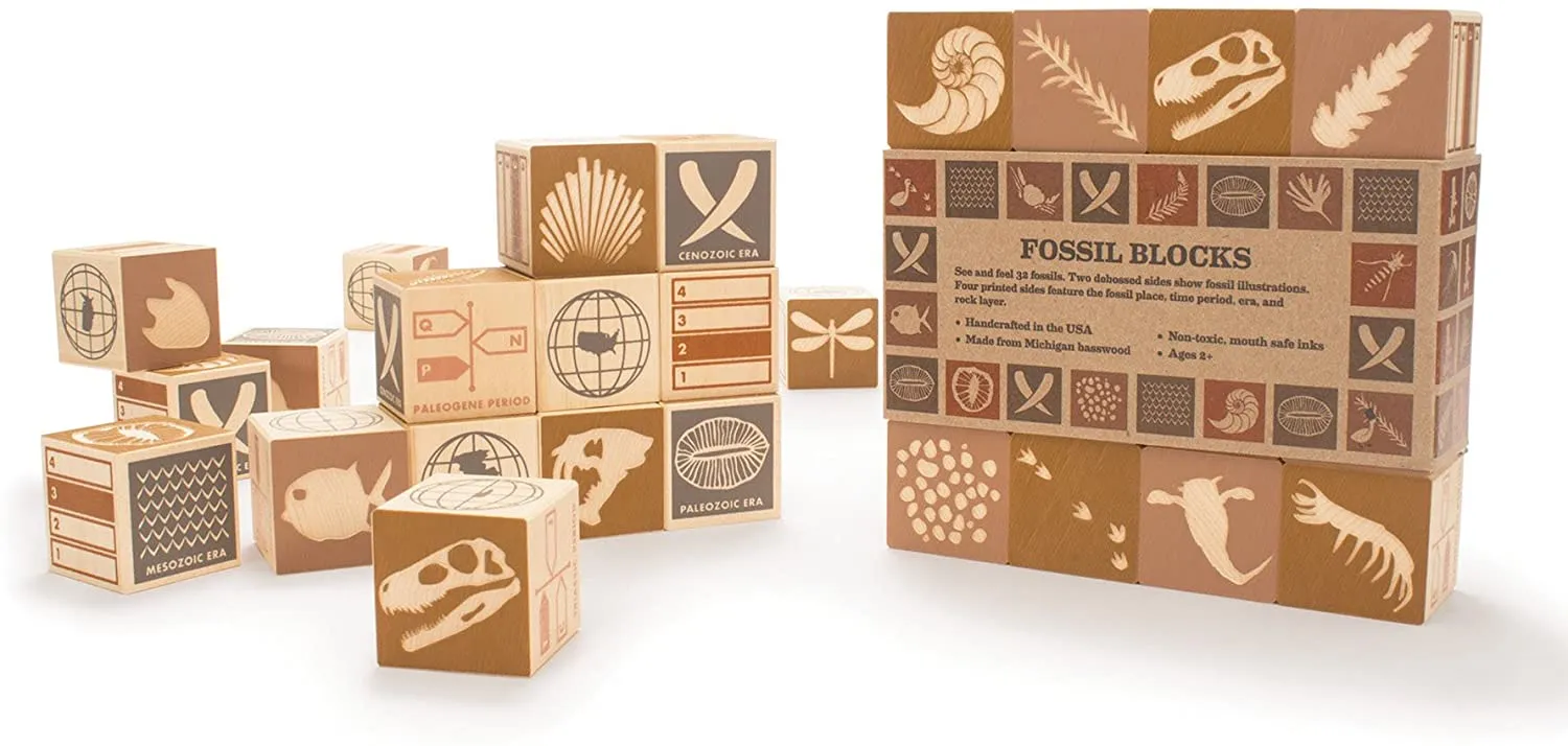 Fossil Wooden Blocks