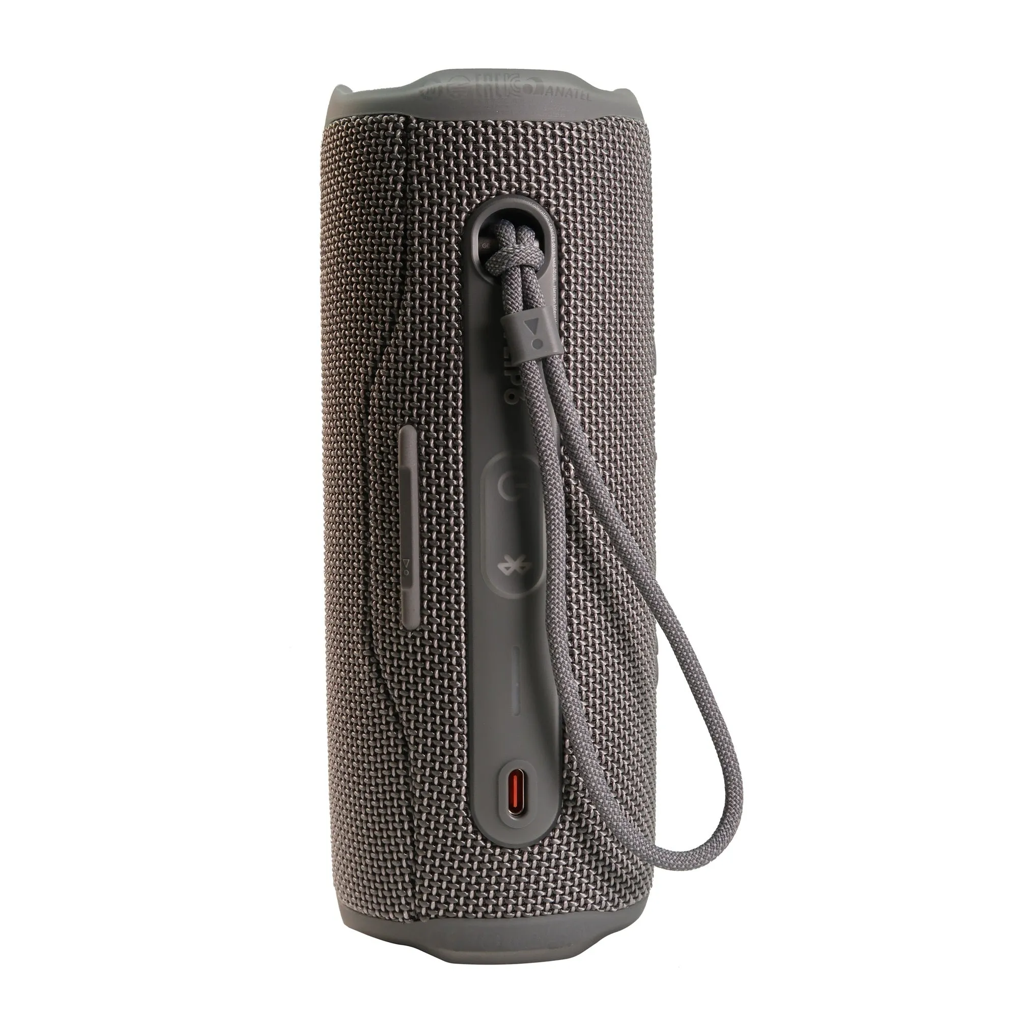 JBL FLIP 6 Wireless Portable Waterproof Speaker - Gray   JBL T110 in Ear Headphones Black