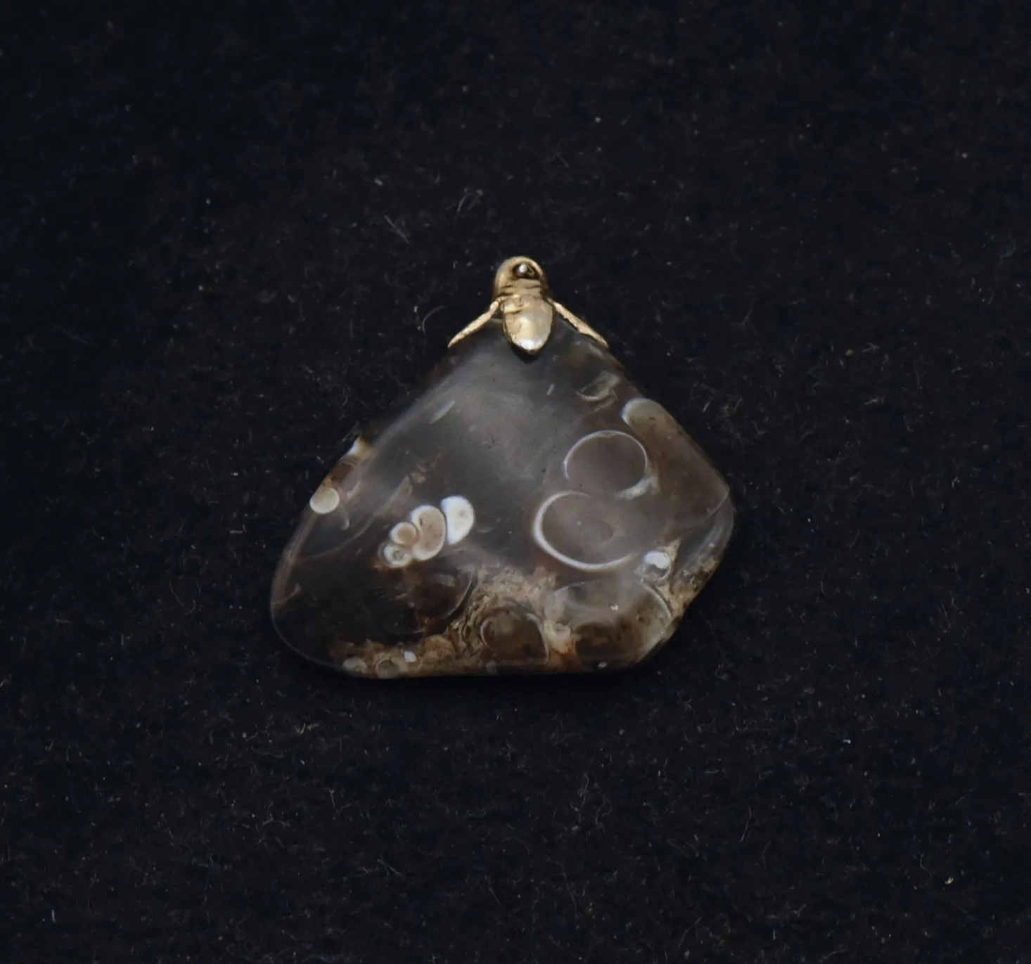 Turtella Jasper Tumbled Fossil Pendant