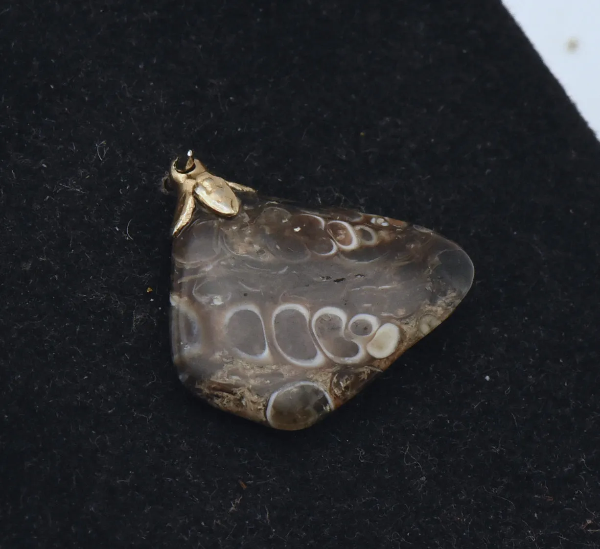 Turtella Jasper Tumbled Fossil Pendant